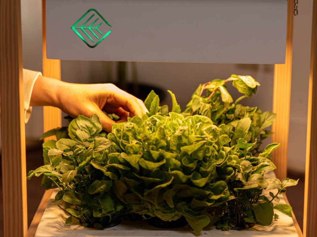 The Table Farm