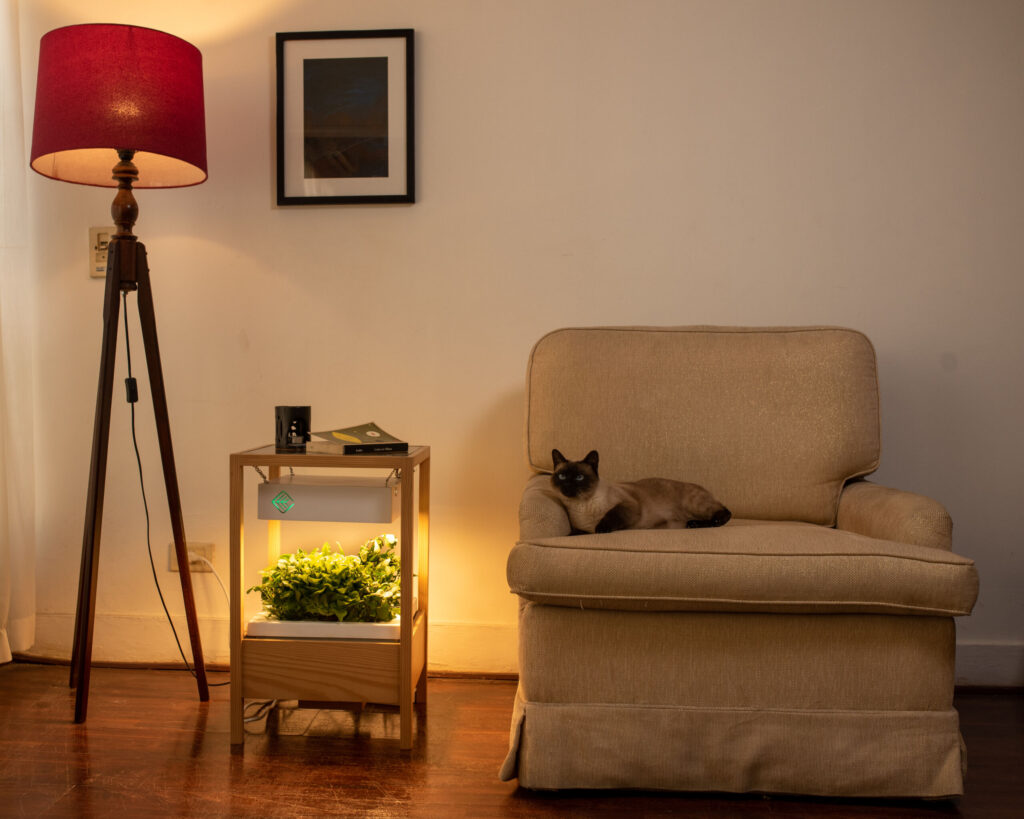 Indoor Farming
